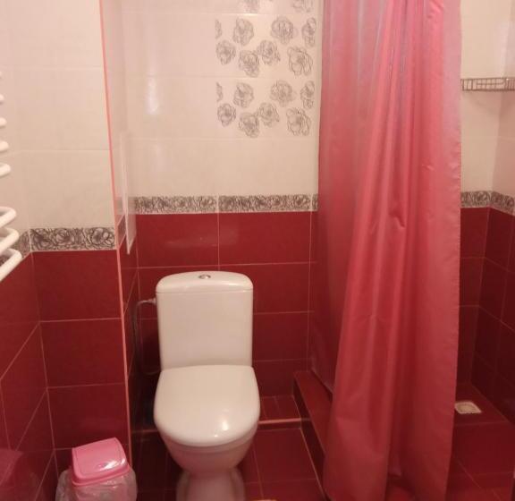 חדר דלוקס, Vodograi