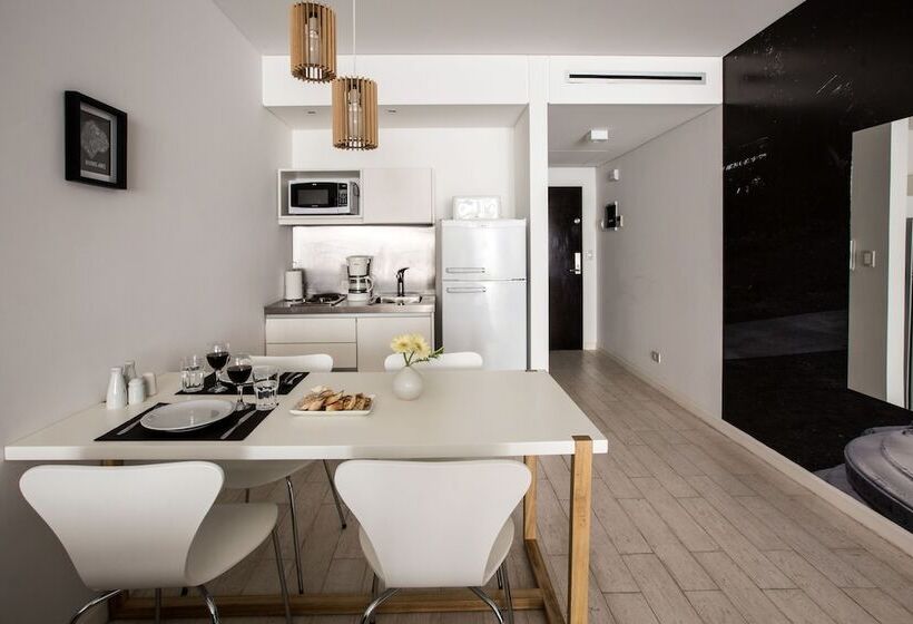 آپارتمان سوپریور 1 خوابه, Flaat Recoleta Plaza