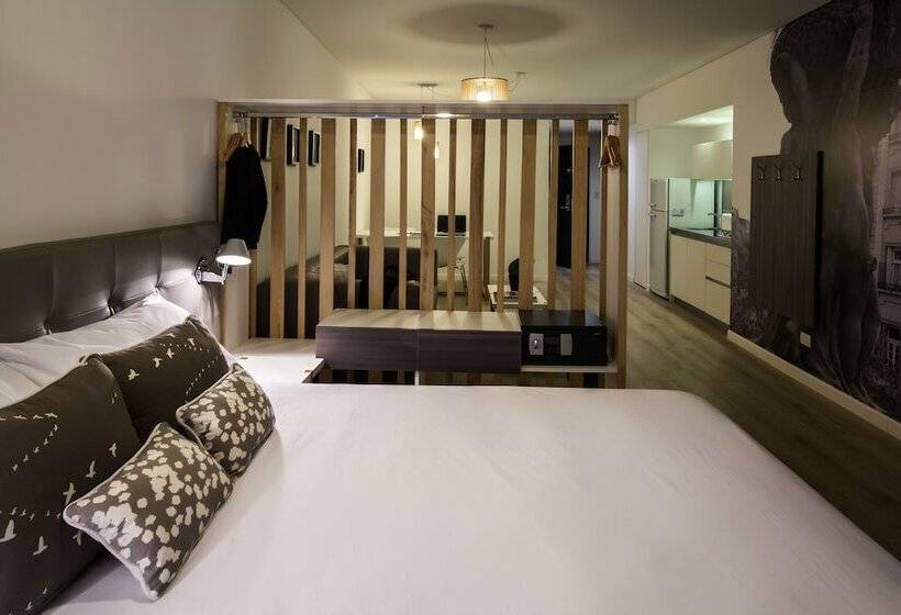 آپارتمان سوپریور 1 خوابه, Flaat Recoleta Plaza