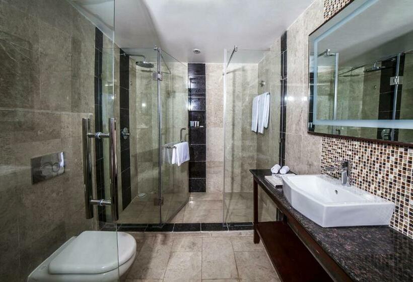 带大床的豪华间, Best Western Plus Zanzibar