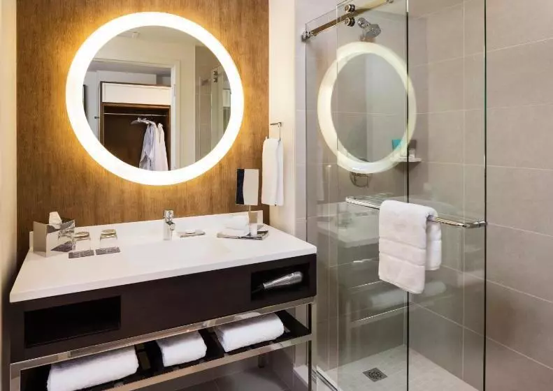 デラックスルーム, Hyatt Regency Bloomington   Minneapolis