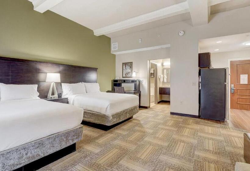 シティビューのスタンダードスタジオ, Staybridge Suites Baltimore   Inner Harbor, An Ihg