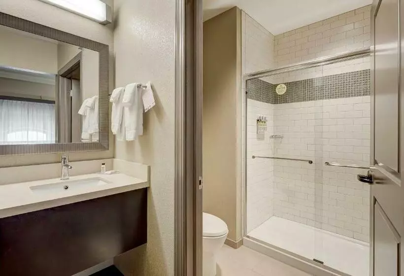 スタンダードルーム, Staybridge Suites Baltimore   Inner Harbor, An Ihg