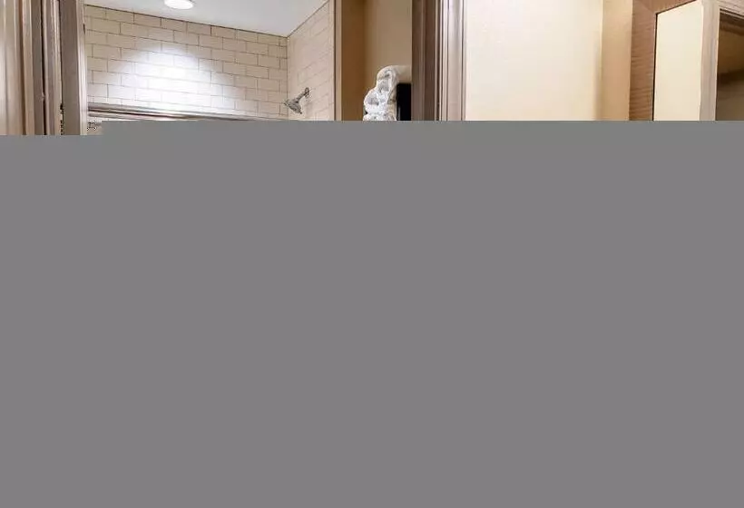 キングサイドベッドのスタンダードワンルーム, Staybridge Suites Baltimore   Inner Harbor, An Ihg