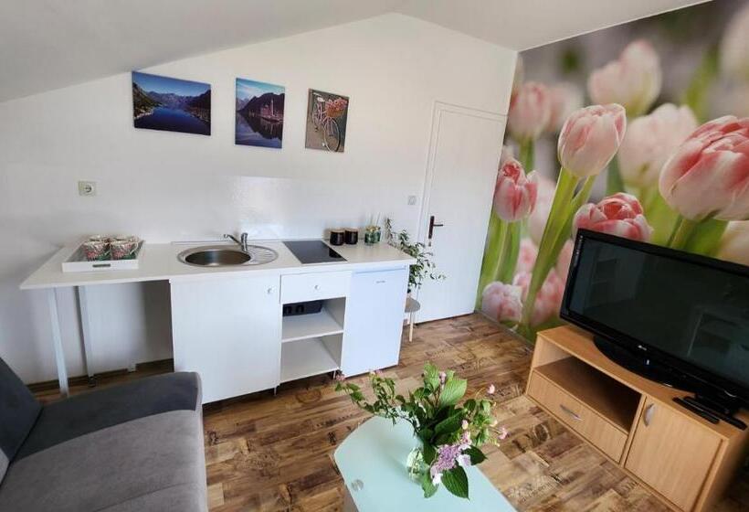 آپارتمان 1 خوابه با چشم‌انداز دریا, Sunrise Apartments Baošići