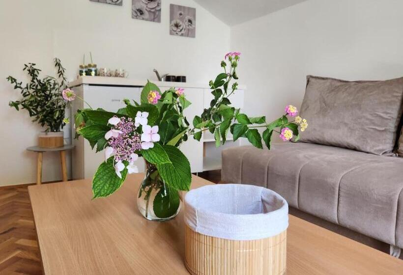 آپارتمان 1 خوابه با تراس, Sunrise Apartments Baošići