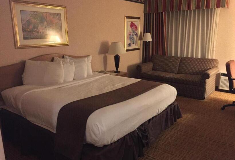 스탠다드 룸 킹사이즈 침대, Americas Best Value Inn & Suites Boise