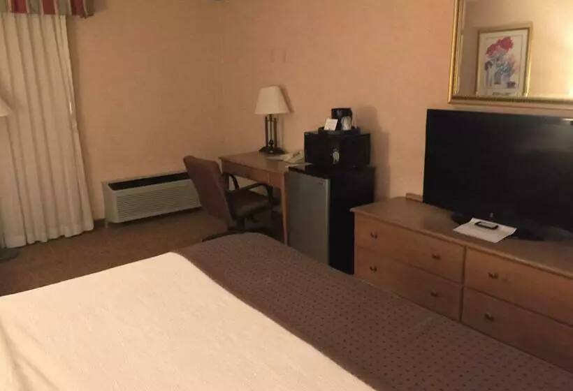 Deluxe-huone King-vuode, Americas Best Value Inn & Suites Boise