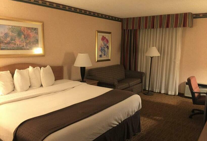 스탠다드 룸 킹사이즈 침대, Americas Best Value Inn & Suites Boise