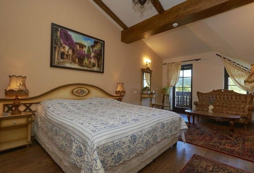 エクゼクティブルーム, Conacul Ambient