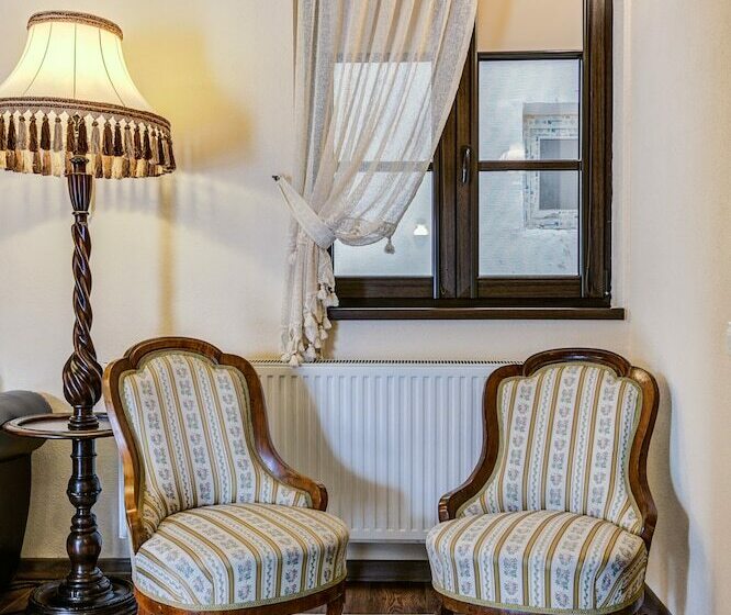 エクゼクティブルーム, Conacul Ambient