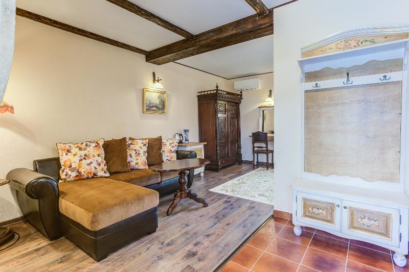 エクゼクティブルーム, Conacul Ambient