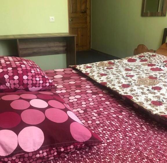 اتاق استاندارد, Nikea Paradiso