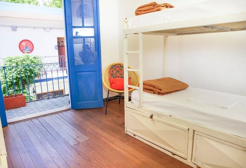 اتاق استاندارد با سرویس بهداشتی مشترک, Viajero Colonia Hostel