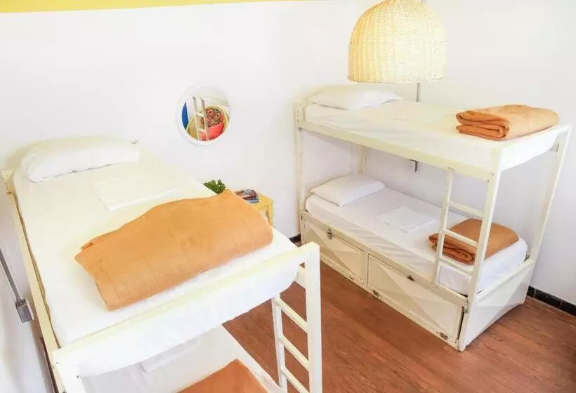 バスルーム共同エコノミー4人部屋, Viajero Colonia Hostel