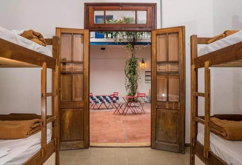 バスルーム共同エコノミー4人部屋, Viajero Colonia Hostel