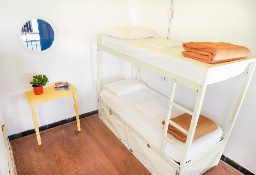 バスルーム共同エコノミー4人部屋, Viajero Colonia Hostel