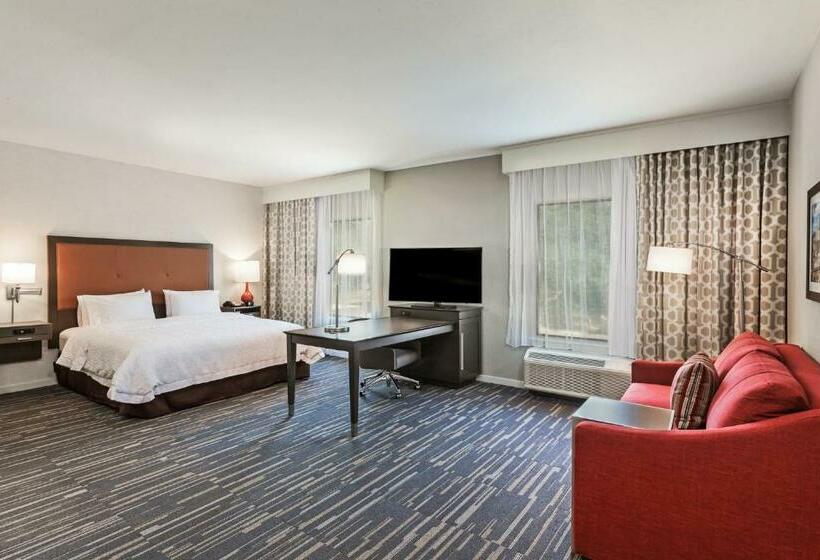 스위트 킹사이즈 침대, Hampton Inn & Suites Houston/atascocita