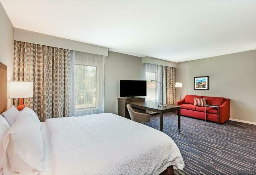 스위트 킹사이즈 침대, Hampton Inn & Suites Houston/atascocita