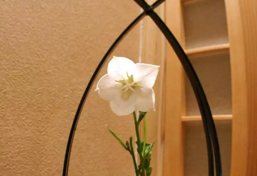 Standard-huone, Ryokan Shinsen