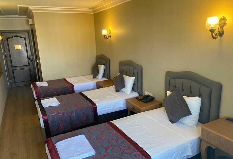 اتاق استاندارد سه نفره, Grand Hamit