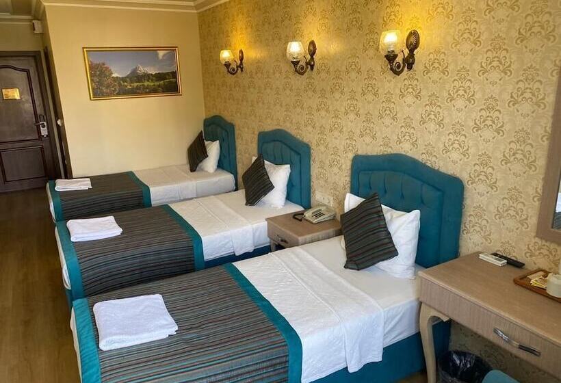 اتاق استاندارد سه نفره, Grand Hamit