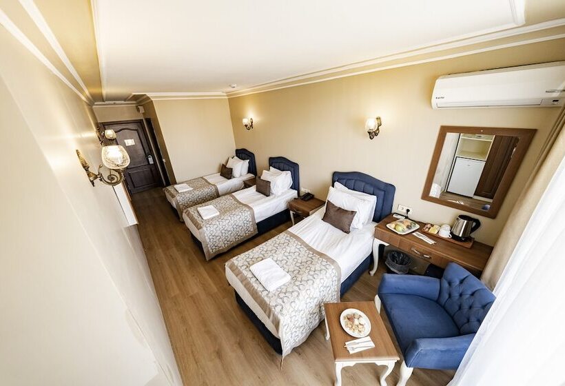 اتاق استاندارد سه نفره, Grand Hamit