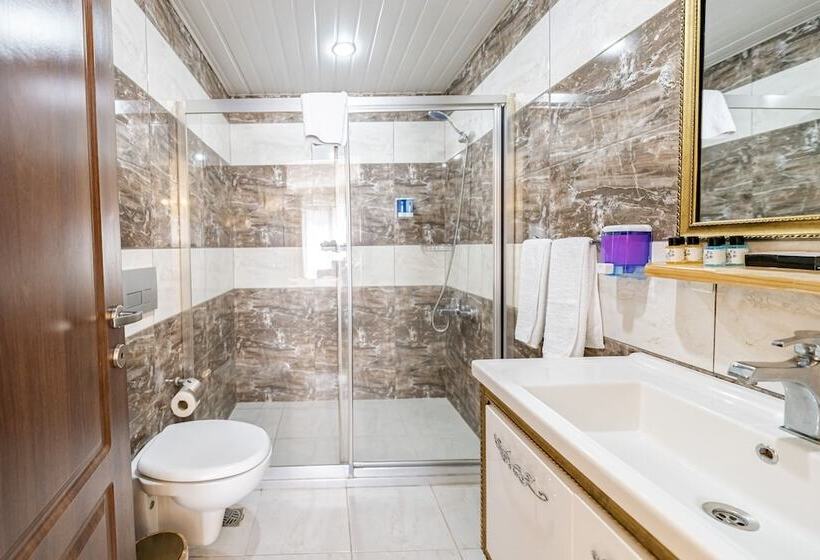 اتاق استاندارد یک نفره, Grand Hamit