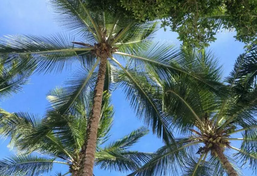 オーシャンビュースタンダードルーム, Alma Tropical Resort