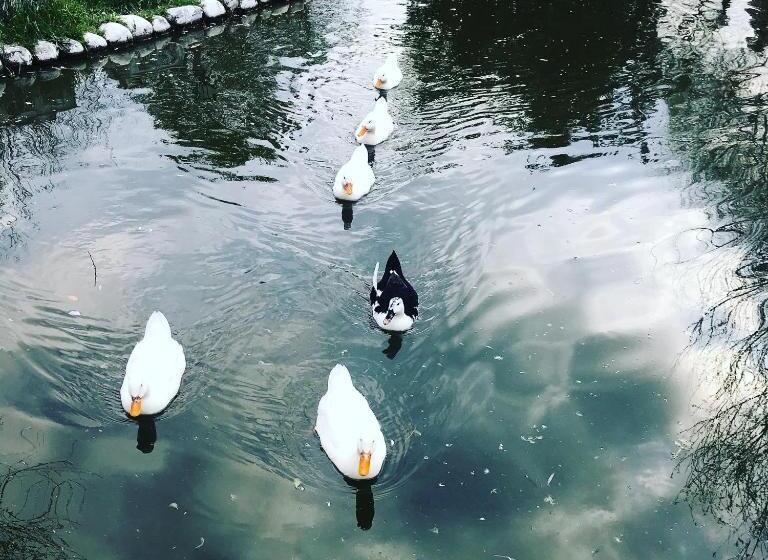 Студио Стандарт с Террасой, Otantik Tas Ev