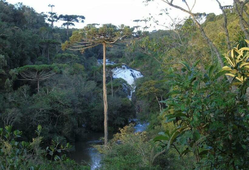 جناح سرير كينج, Refugio Monte Olimpo