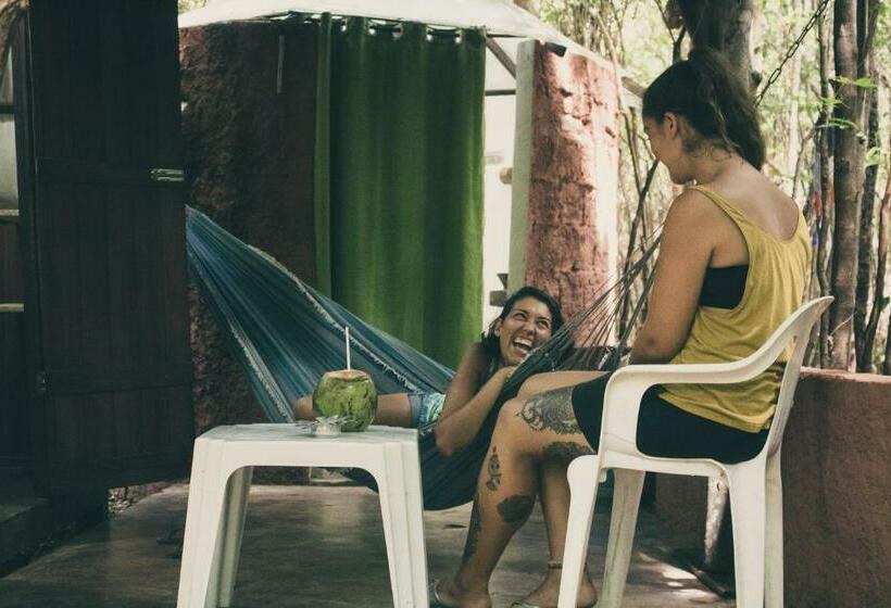 اتاق استاندارد, Lagarto Na Banana Hostel