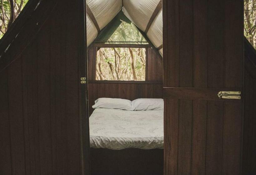 اتاق استاندارد, Lagarto Na Banana Hostel