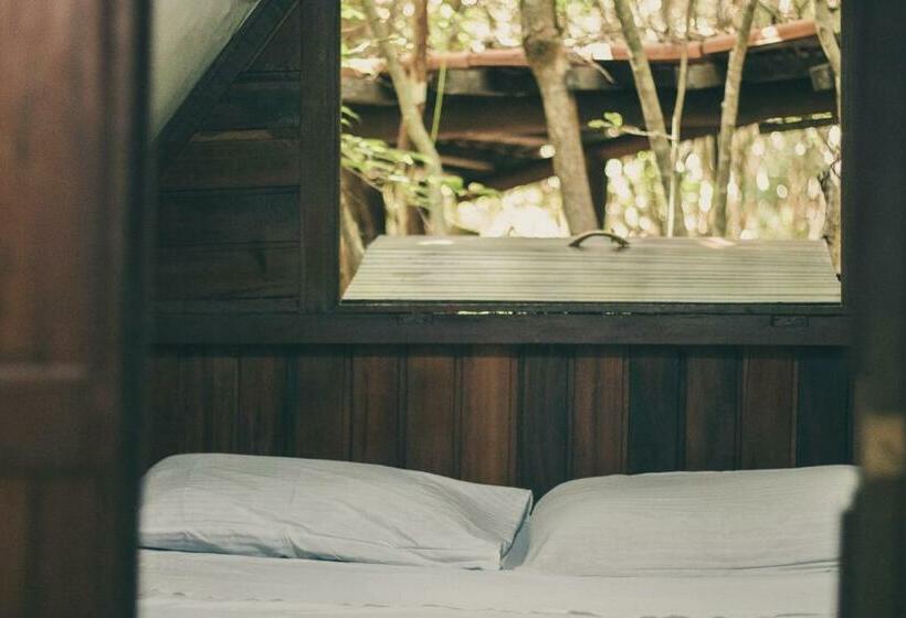 اتاق استاندارد, Lagarto Na Banana Hostel