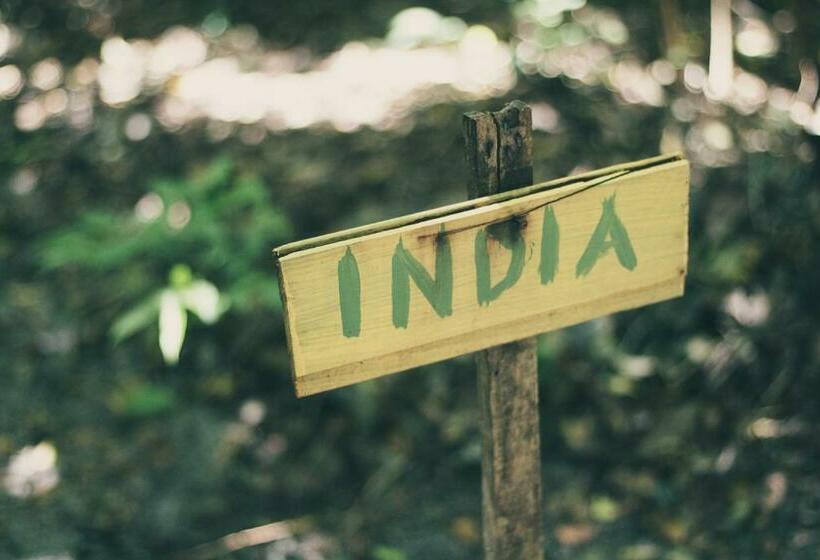 اتاق استاندارد, Lagarto Na Banana Hostel