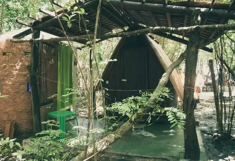 اتاق استاندارد, Lagarto Na Banana Hostel
