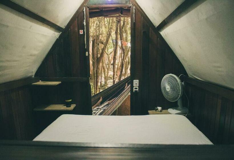 اتاق استاندارد, Lagarto Na Banana Hostel