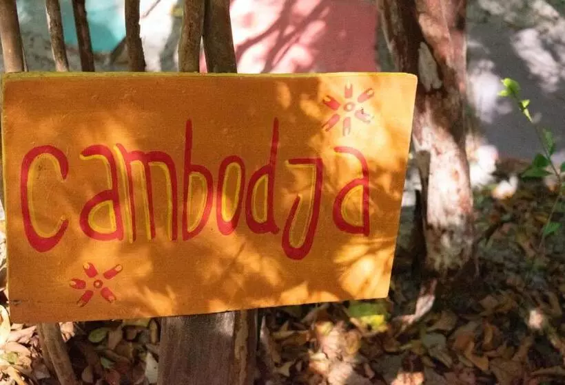اتاق استاندارد, Lagarto Na Banana Hostel