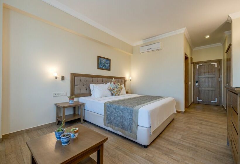 スタンダードルーム, Cinarli Kasri