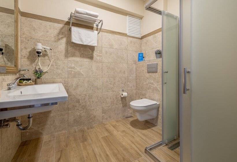 スタンダードルーム, Cinarli Kasri