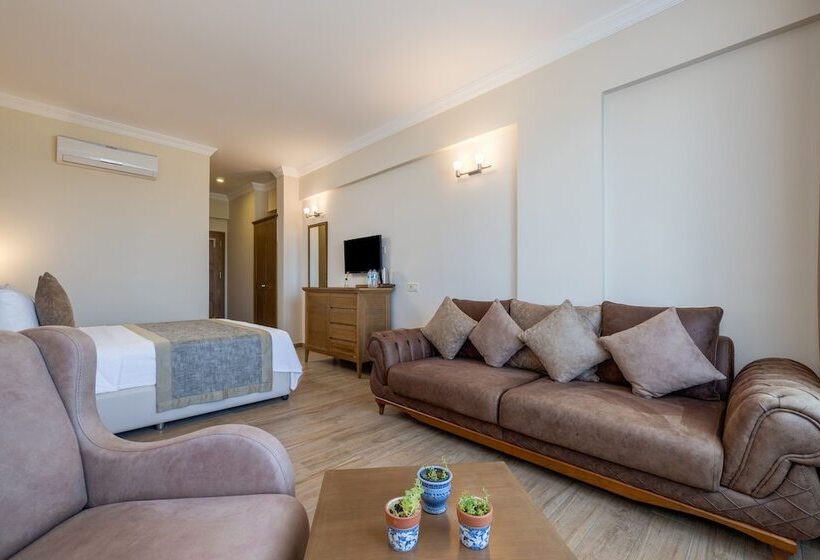 デラックストリプルルーム, Cinarli Kasri