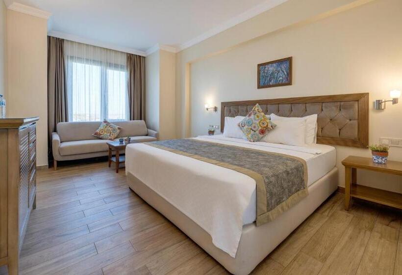 デラックストリプルルーム, Cinarli Kasri