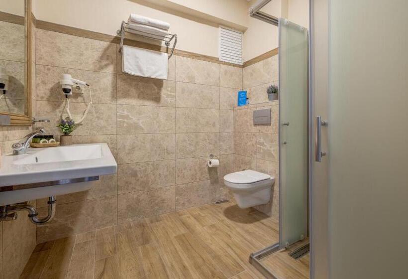 スタンダードルーム, Cinarli Kasri