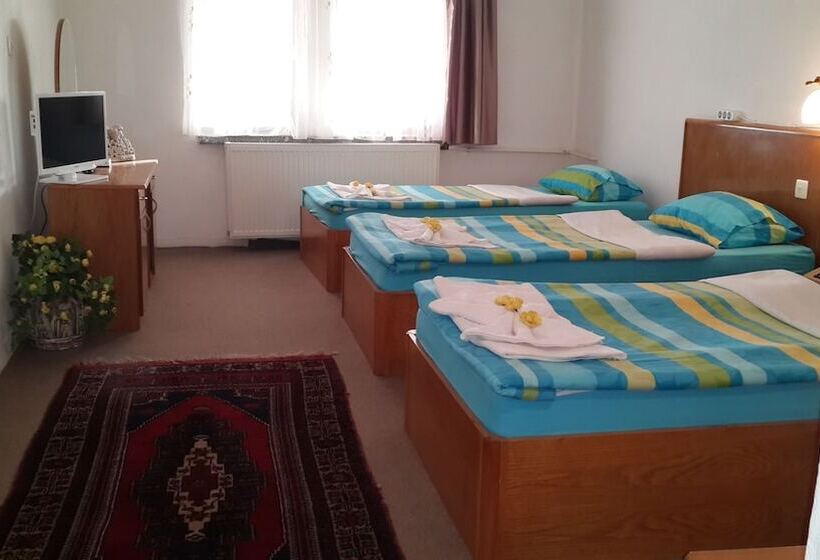 Standard Triple Room with Terrace, Ozyel