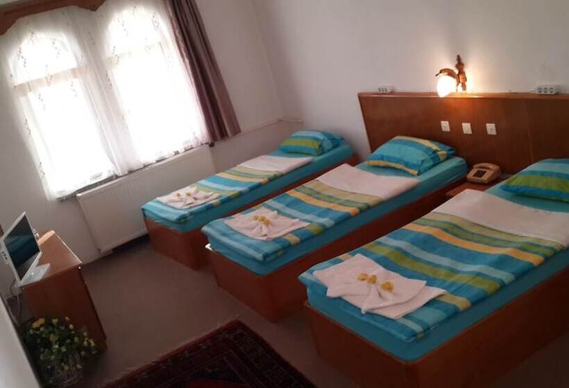 Standard Triple Room with Terrace, Ozyel