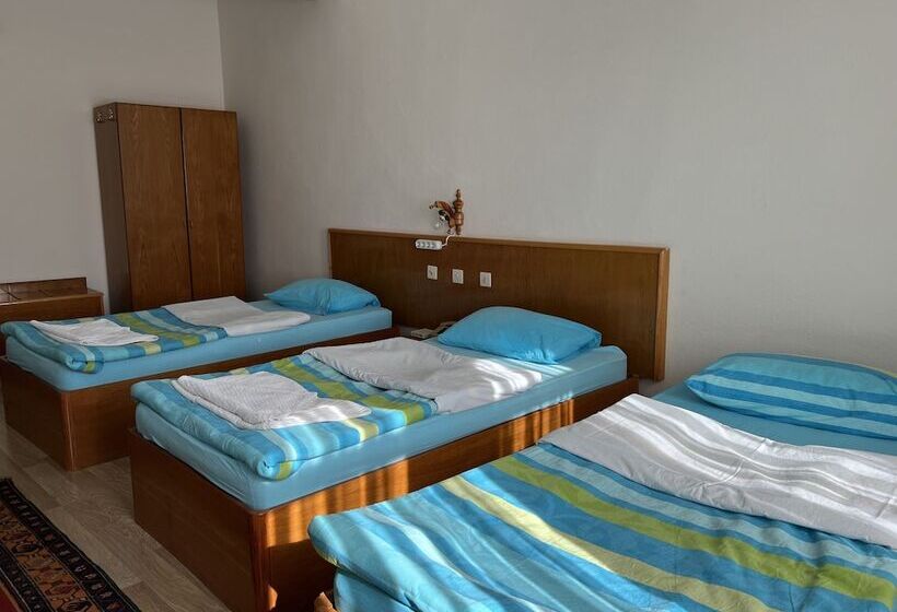 Standard Triple Room with Terrace, Ozyel