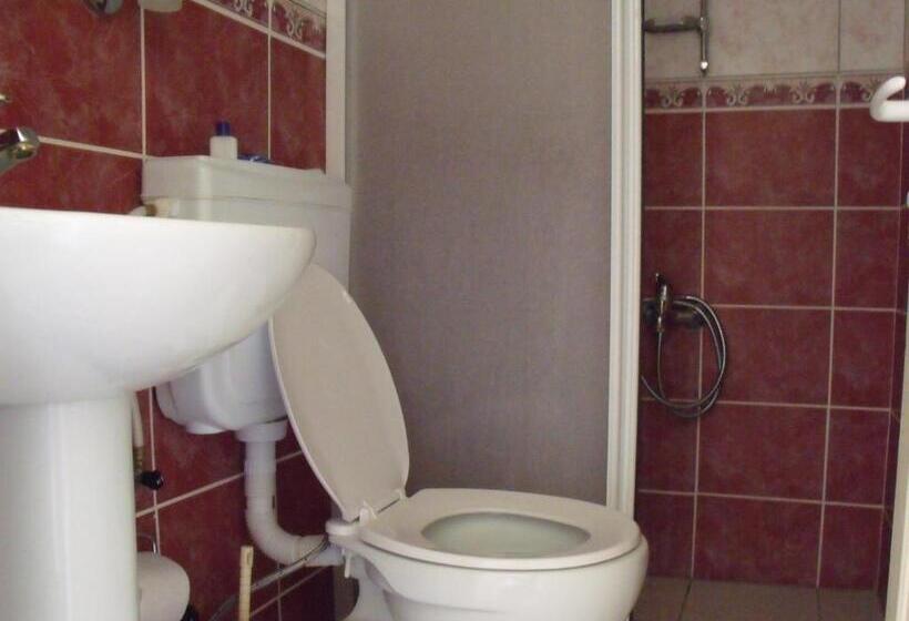 スタンダードルーム, Pacha