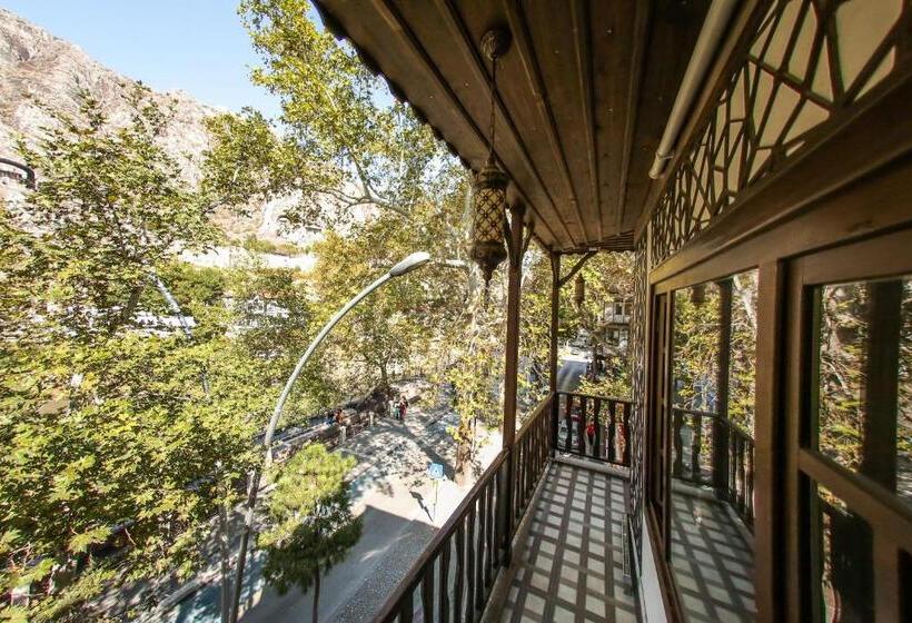 اتاق استاندارد با چشمانداز کوهستان, Payidar