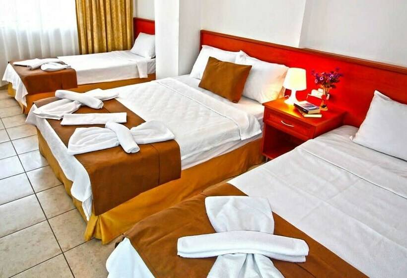 اتاق استاندارد چهار تخته, Bonapart