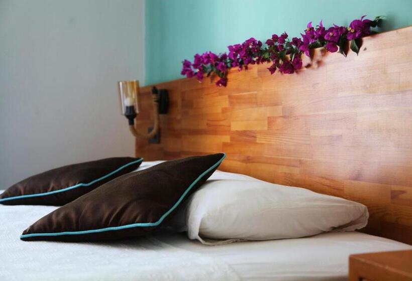 标准三人间, Cobanoglu Otel